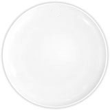 porcelain dish